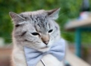 开云棋牌-北境铁壁，猛龙窒息式防守如何锁死湖人总决赛之路