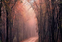 开云棋牌入口-拜仁慕尼黑爆冷输给波尔图，遗憾欧冠淘汰的简单介绍